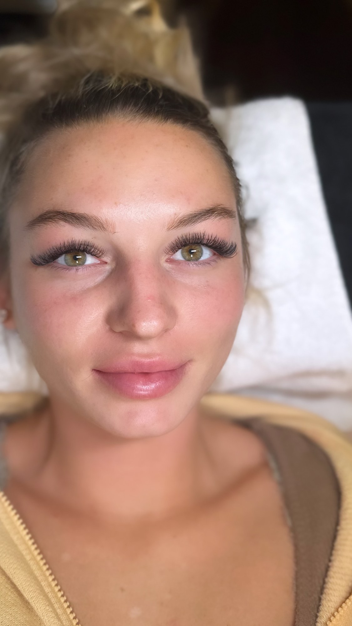 Classic vs Hybrid vs Volume vs, cover — The Bronze Lily, St. Petersburg, FL