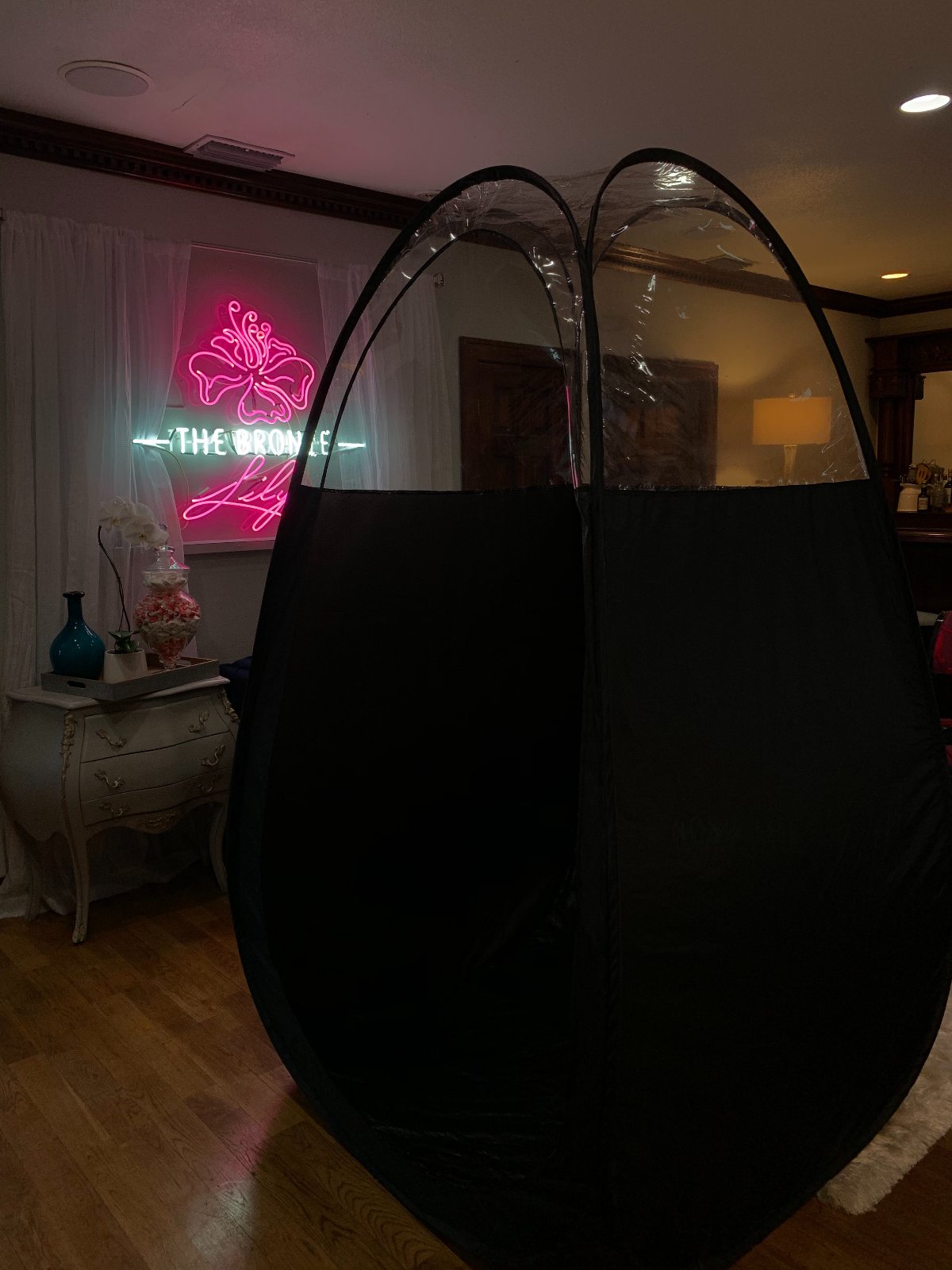 Photo, the carriage house — The Bronze Lily, St. Petersburg, FL